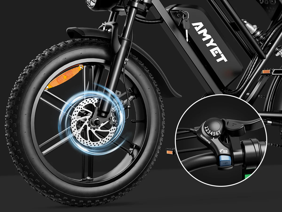 Adults Electric Bike 1000W Motor Bicycle 48V 20AH 20“ Tire