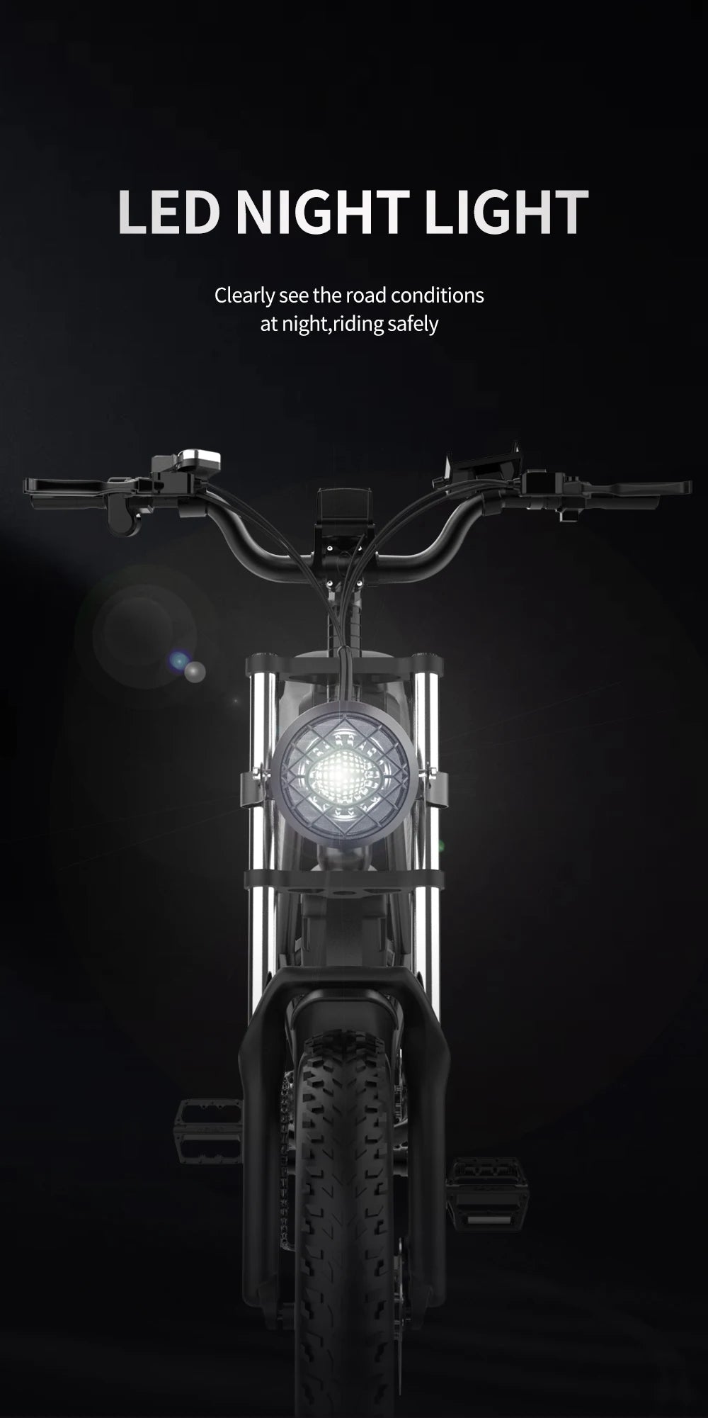 Electric Bicycle 2000W Dual Motor Fat Tire Electric Mountain Bike