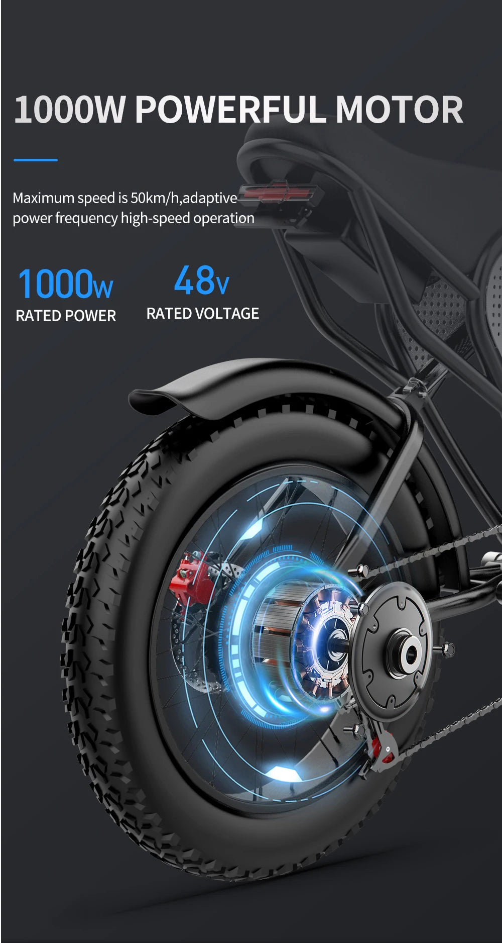 Electric Bicycle 2000W Dual Motor Fat Tire Electric Mountain Bike