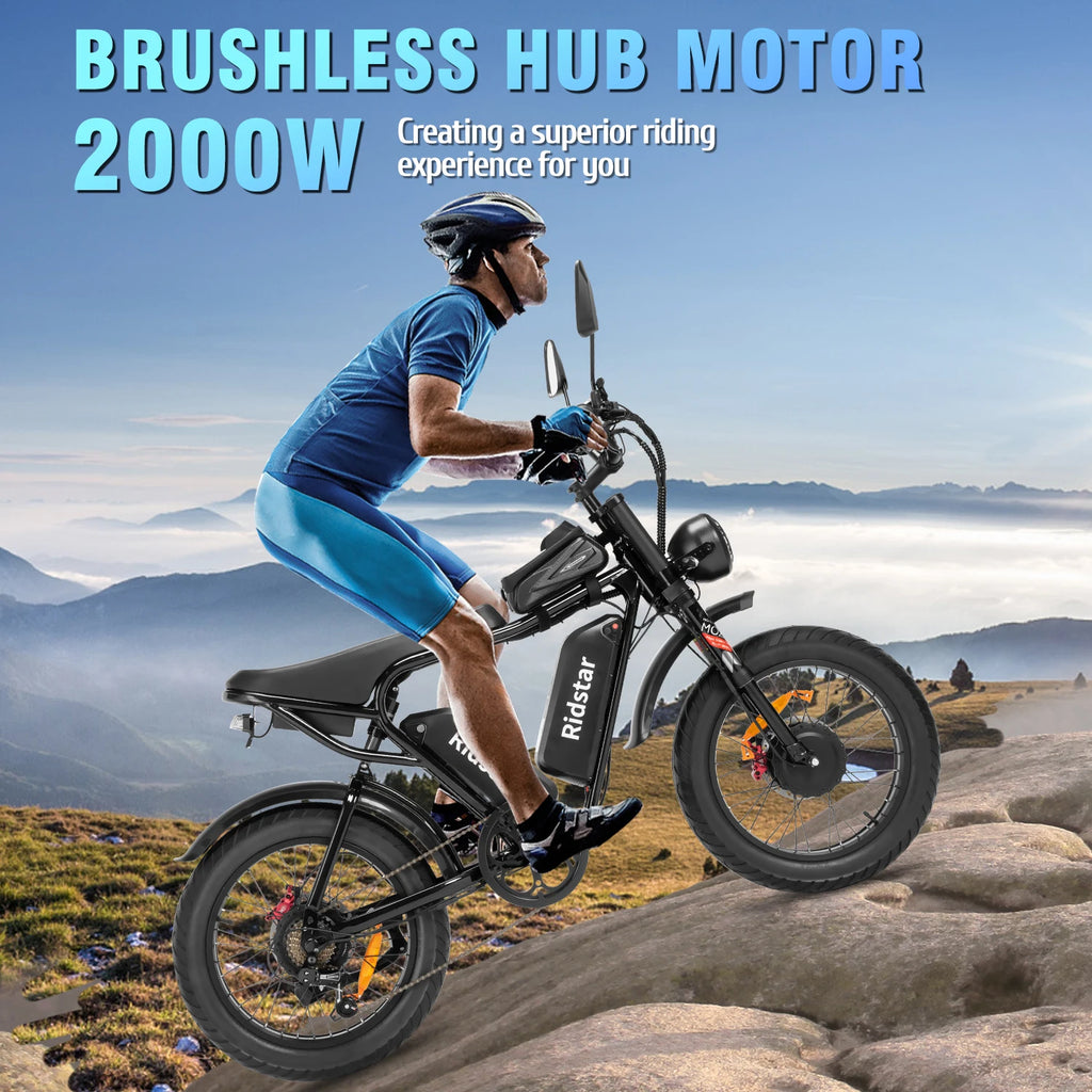 Electric Bicycle 2000W Dual Motor Fat Tire Electric Mountain Bike