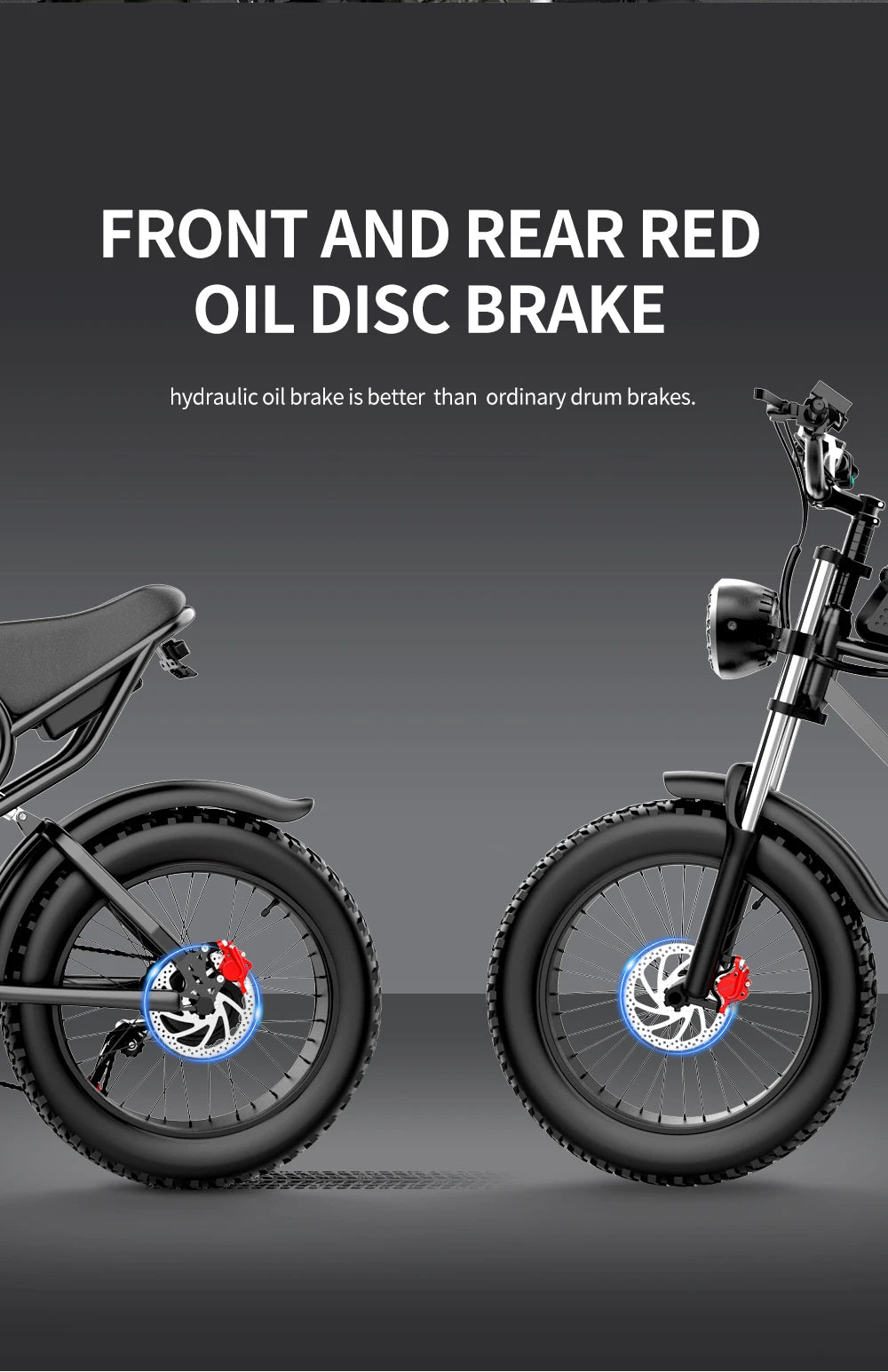 Electric Bicycle 2000W Dual Motor Fat Tire Electric Mountain Bike