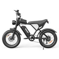 Electric Bicycle 2000W Dual Motor Fat Tire Electric Mountain Bike