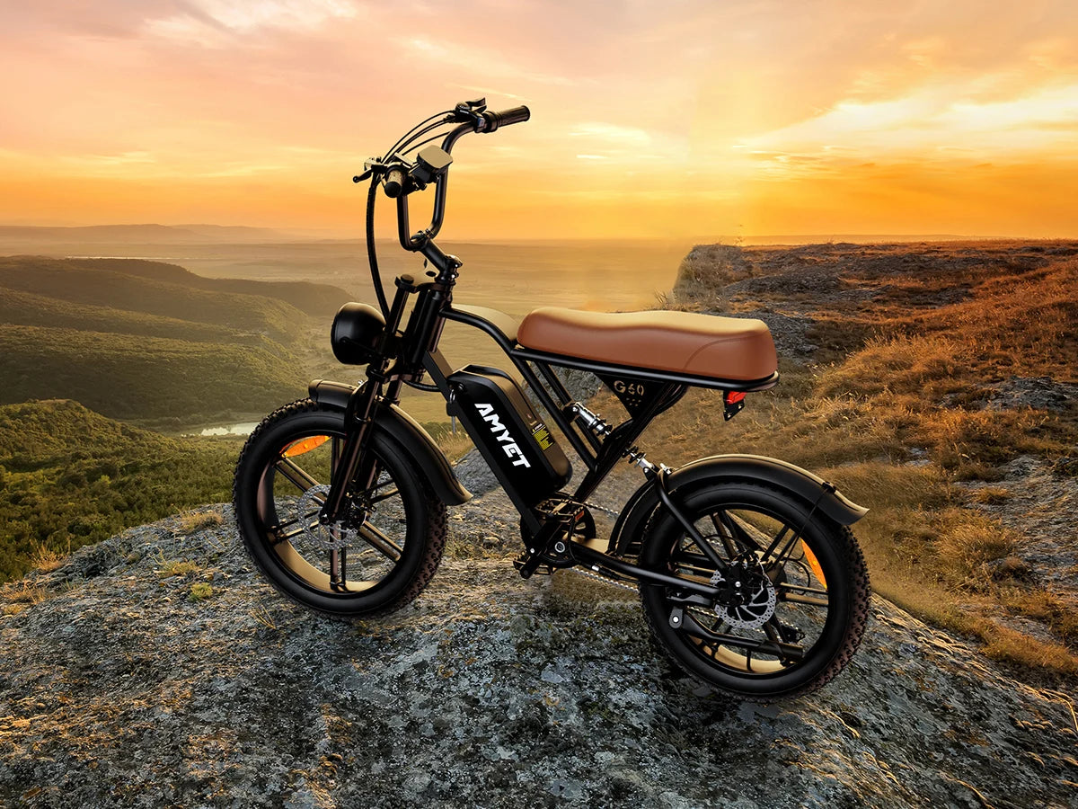 Adults Electric Bike 1000W Motor Bicycle 48V 20AH 20“ Tire