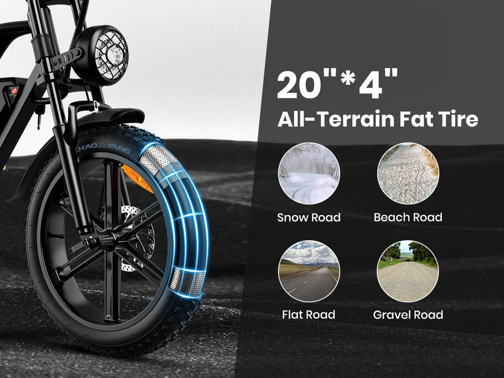 Adults Electric Bike 1000W Motor Bicycle 48V 20AH 20“ Tire