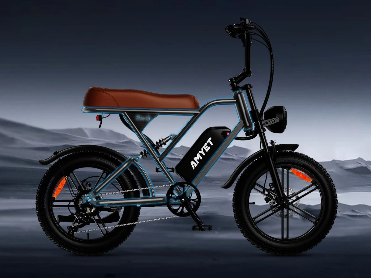 Adults Electric Bike 1000W Motor Bicycle 48V 20AH 20“ Tire